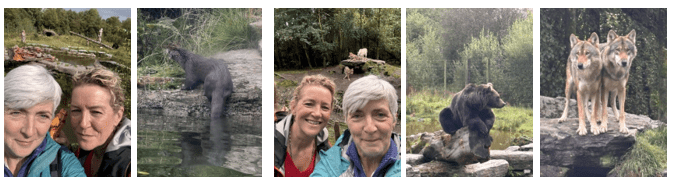 Wild Ireland day out