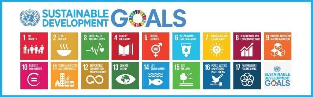The UN SDGs